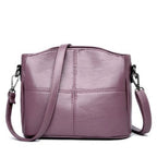Women's Crossbody Bag with Stitched Panel Detail and Adjustable Strap